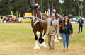 Malton Show 2024